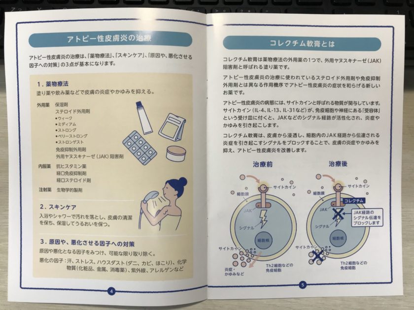 コレクチム小冊子４・５ページ